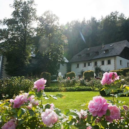 Bed and Breakfast Penzl 9 Longostagno Экстерьер фото